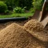 Berkenhout voor de open haard: alles wat je moet weten